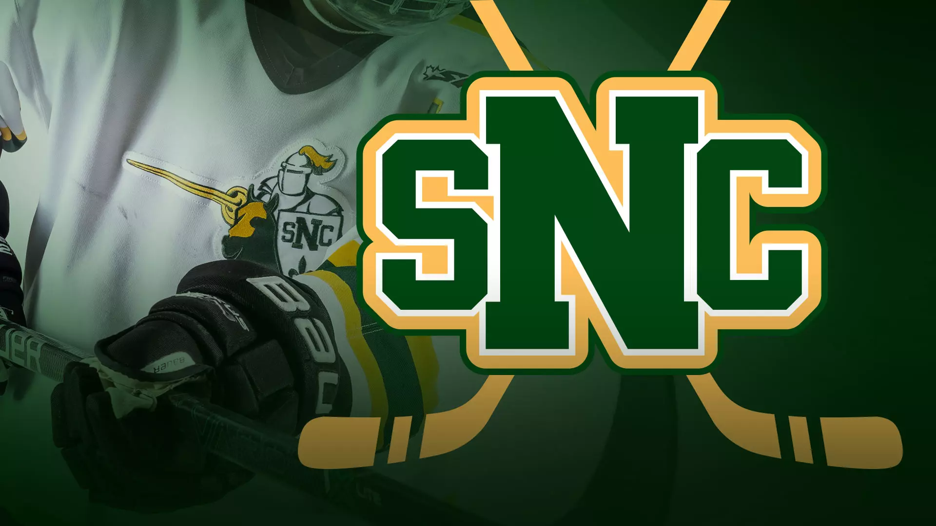 Norbert Logo